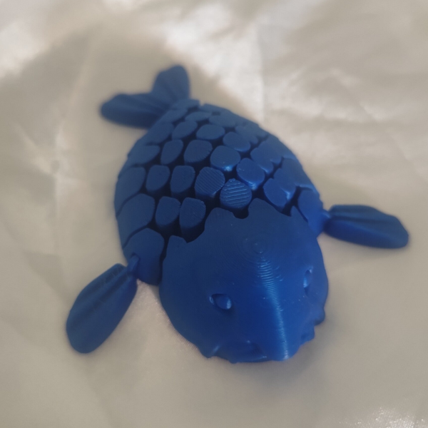 Blobfisch - Verschiedene Farben