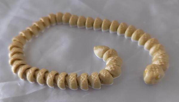 Strumpfbandnatter - Verschiedene Farben