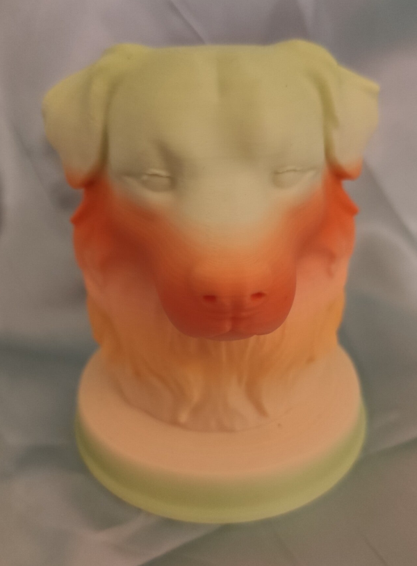 Australischer Schäferhund Büste Gelb/Orange/Grün