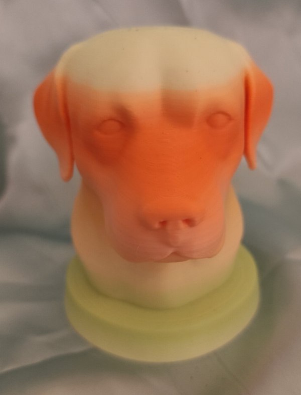 Labrador Büste Orange/Gelb/Grün