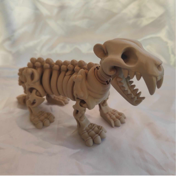 Säbelzahn Tiger Skelett / B-Ware