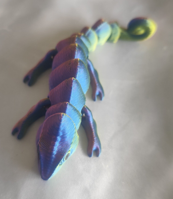 Baby Chameleon