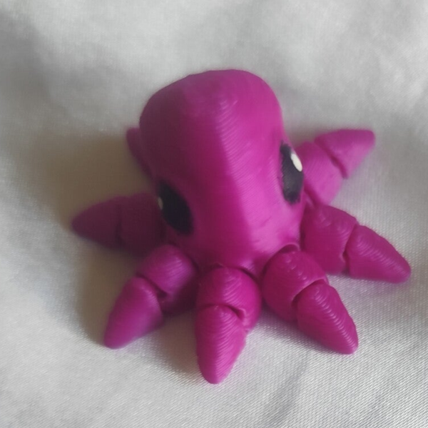 Baby Octopus