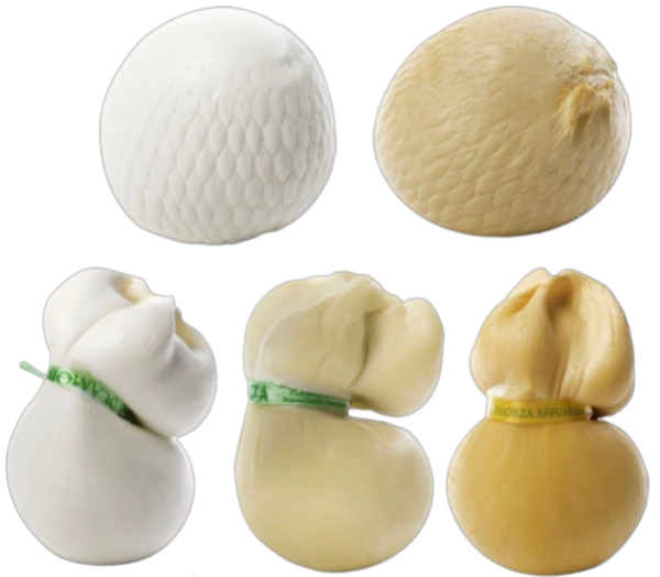 SCAMORZA  FRESCA IN ACQUA O PROVOLA IN RETE/SCAMORZA BIANCA/SECCA/AFFUMICATA O PROVOLA AFFUMICATA IN RETE