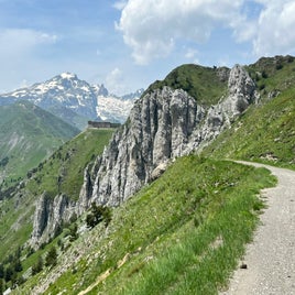 img_5083-standard.jpg