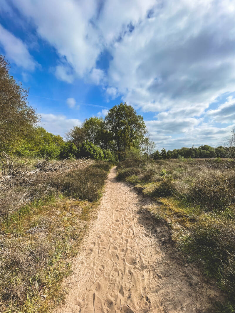 Prachtige wandelroutes in Buurserzand