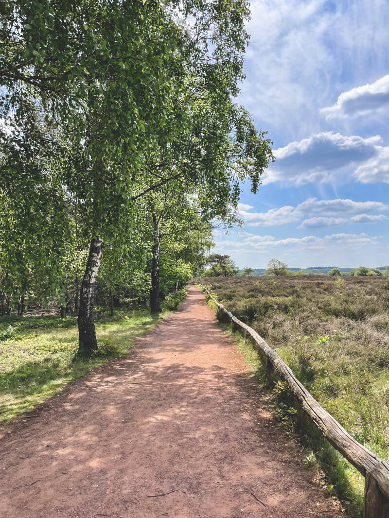 Loop je stress weg op de Sallandse Heuvelrug