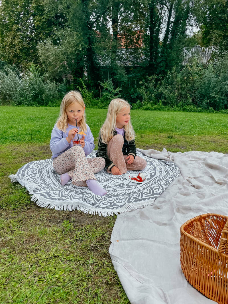 Picknicken Bij Natuurhus in Almelo