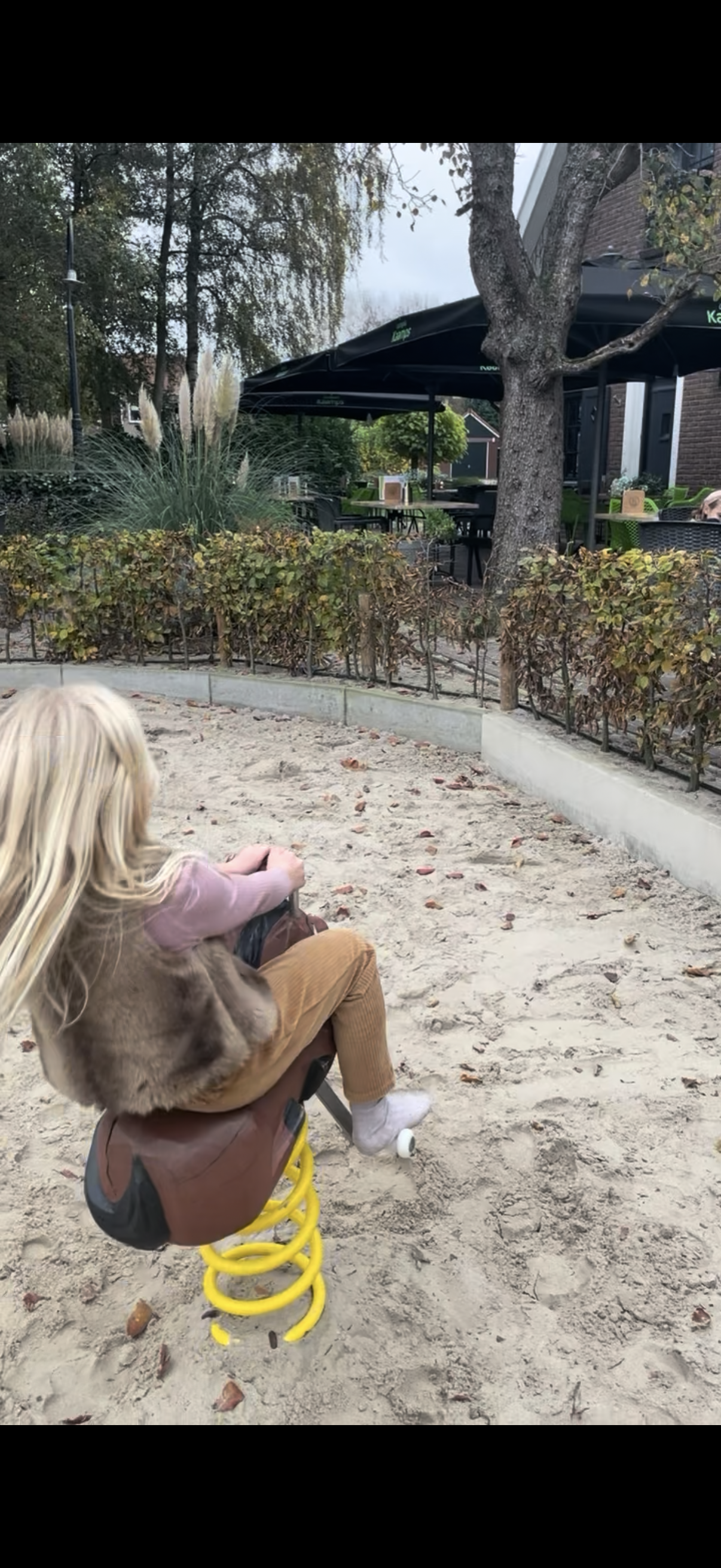 Spelende kinderen in de speeltuin bij Landgoed Kaamps