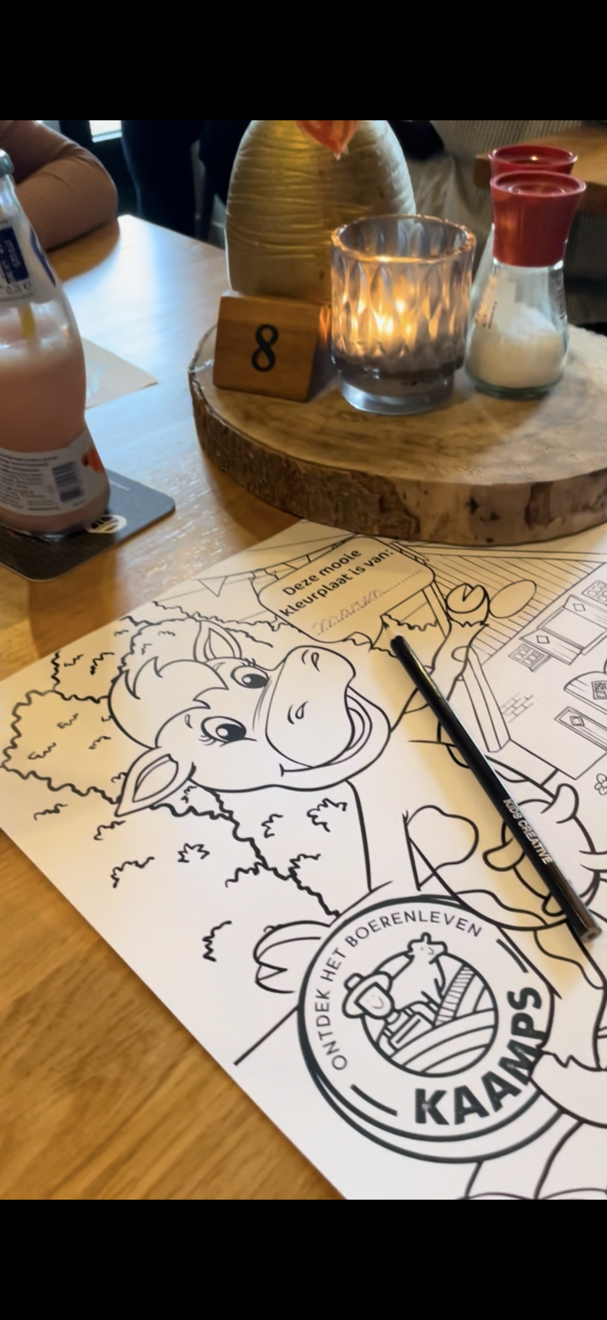 Lekker lunchen en spelen met kids bij Landgoed Kaamps in Deurningen 