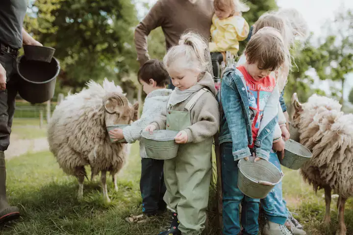 Kidsproof vakantieplek in Oosterwolde: slaap op de kampeerboerderij! 