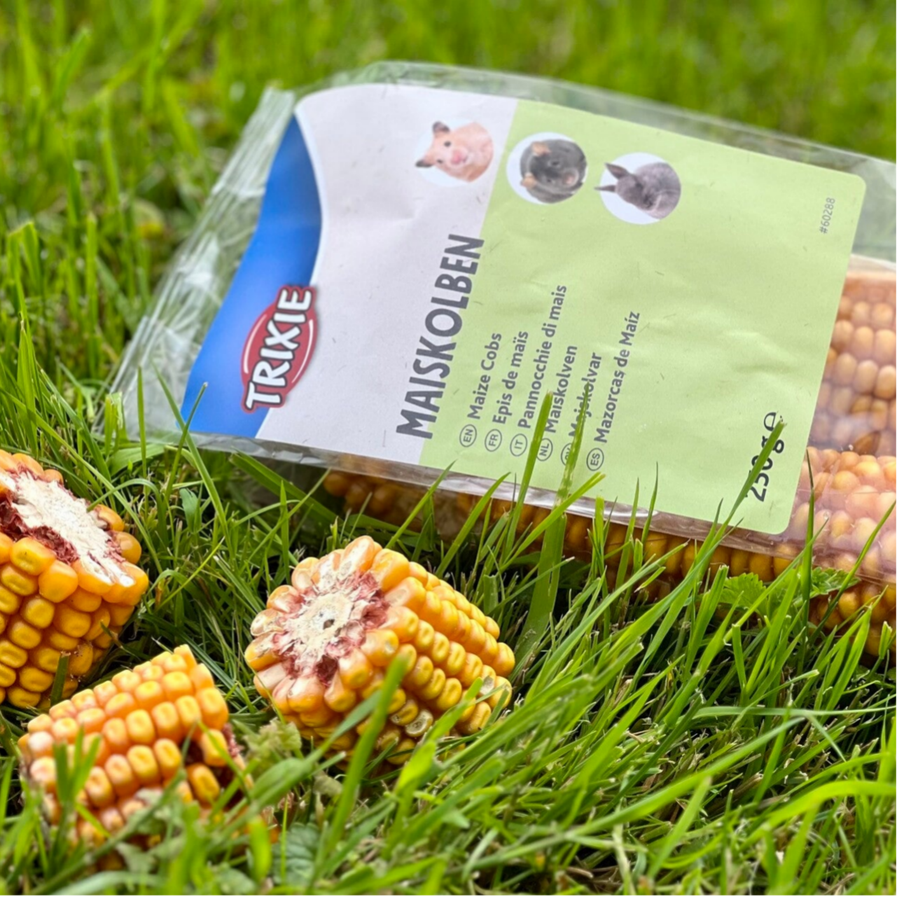 Maiskolben (Trixie)