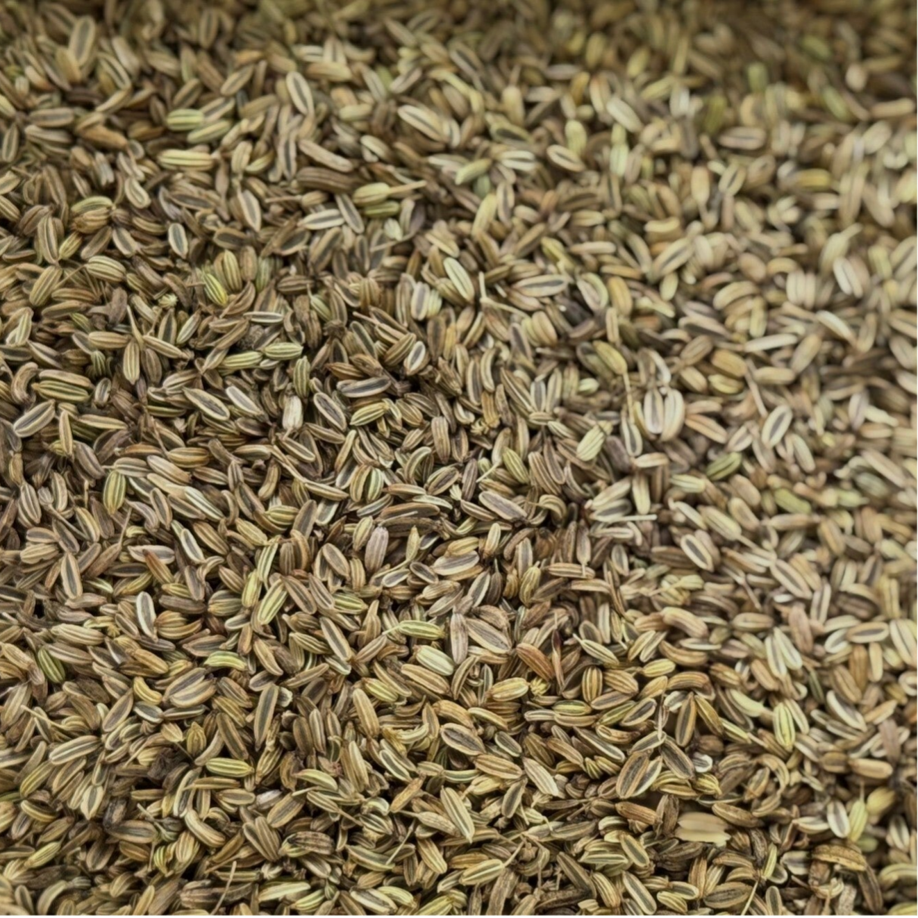 Fenchelsamen