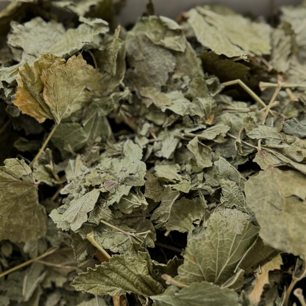 Johannisbeerblätter