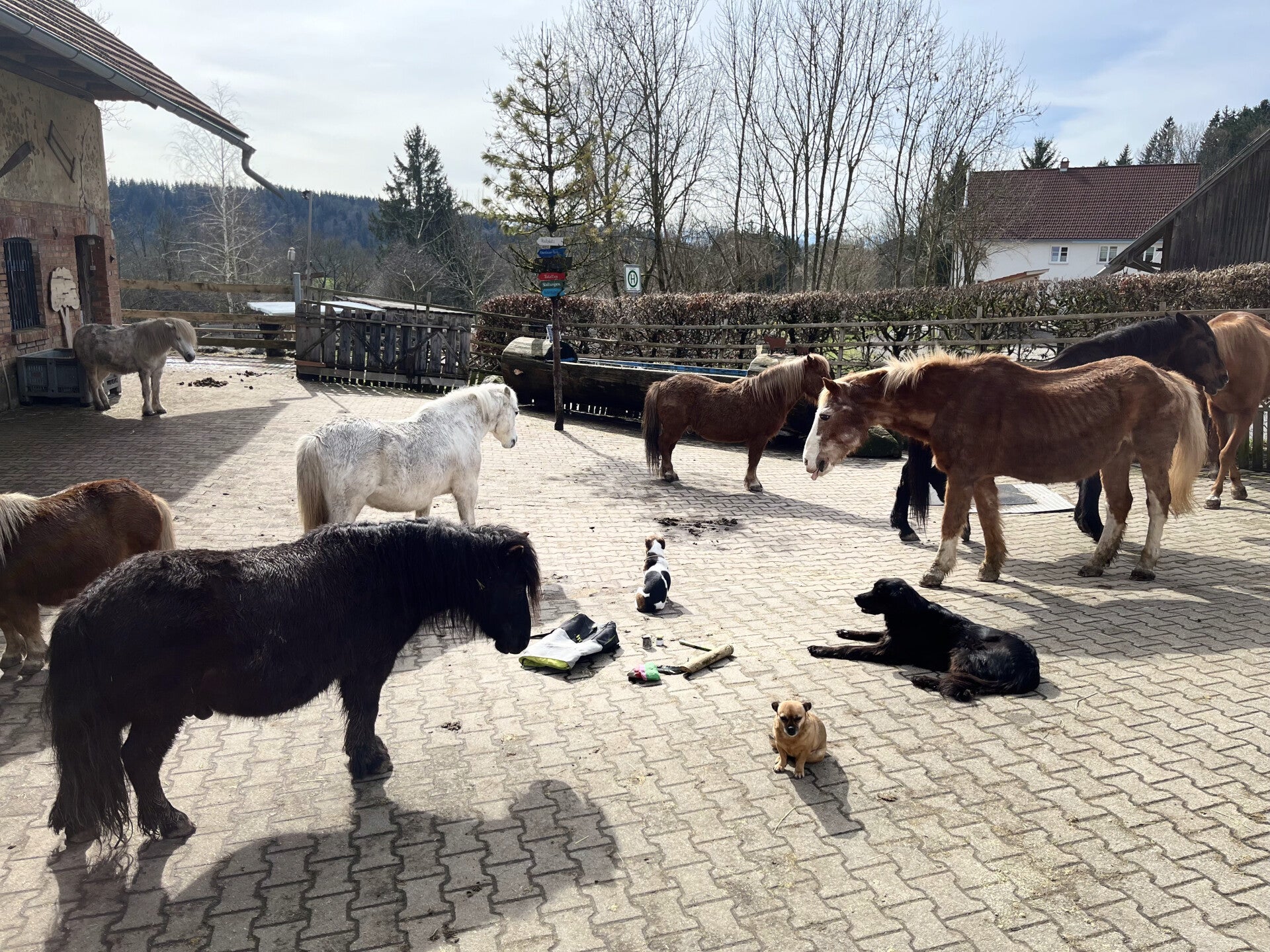 Coaching Erschöpfung Selbstzweifel Überforderung Herz Leere