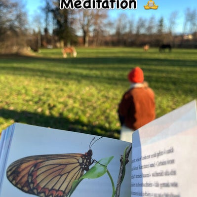 Schnupperkurz Coaching, Frau auf der Koppel bei einer Mediation