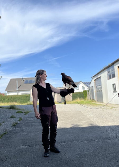 Sylvia Schlichte, Stress abbauen, mit Mäusebussard auf der Hand