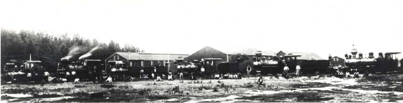 Kahului Railroad Locomotives lined up on Maui in 1911.