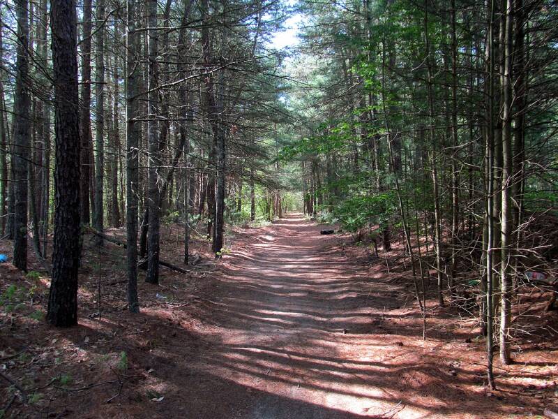 A dirt path through a wooded area.