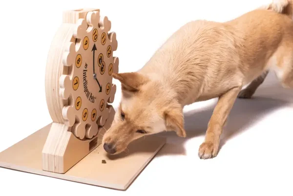 My Intelligent Dogs Pet O’Clock