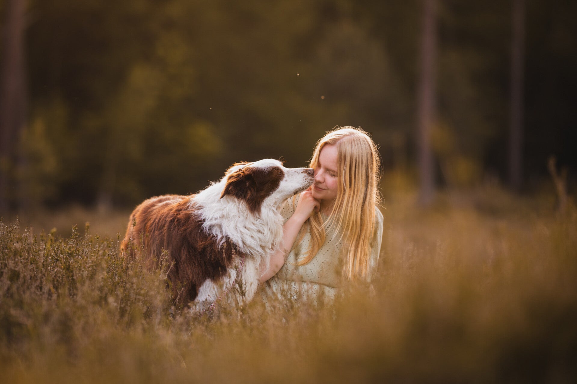 Fotoshoot hond en baas Nederland Gelderland Drenthe Heide