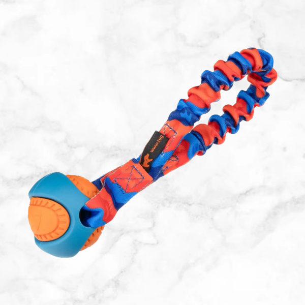 Pocket PowerBall Bungee Tug