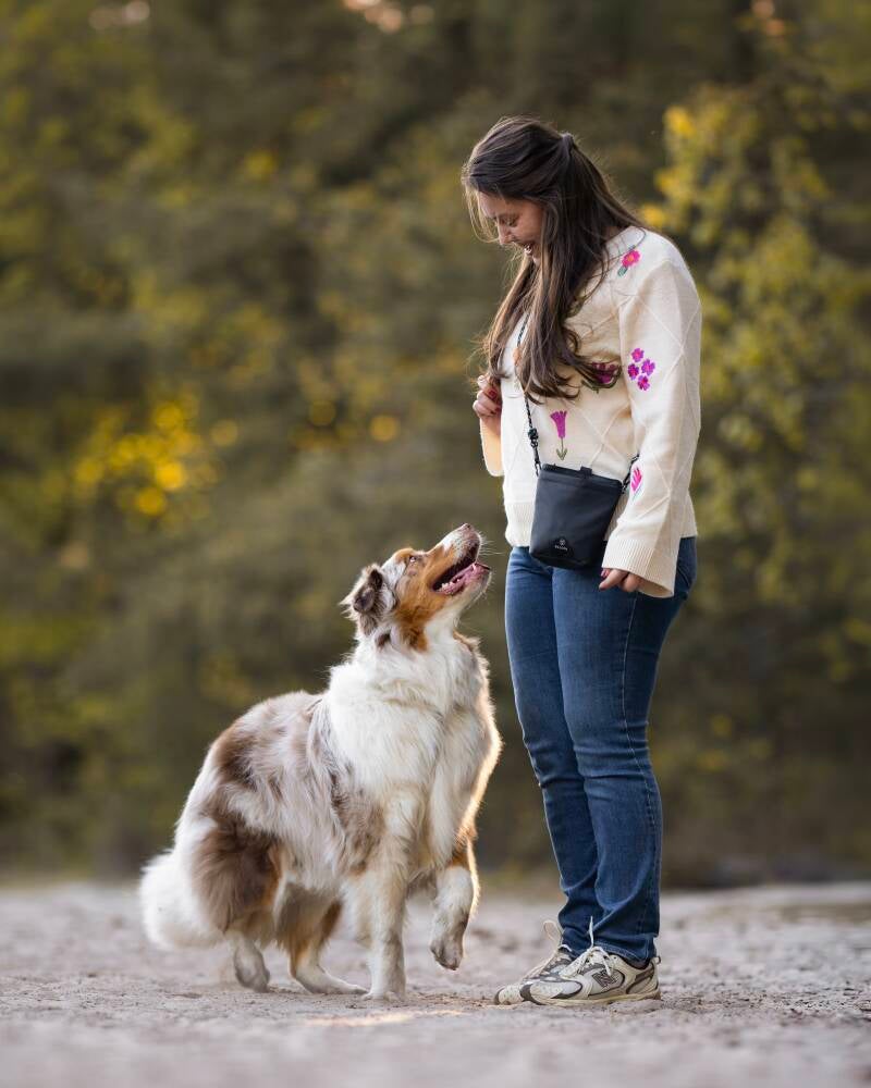 Honden fotoshoot met baas Australian shepherd Echten