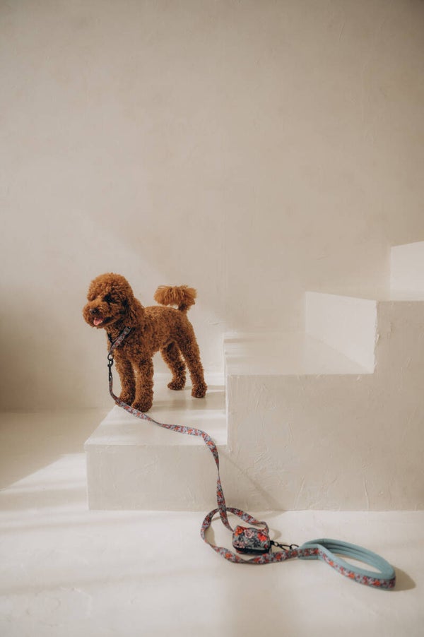 Dog Leash 180cm - Peonies - ALISDOG