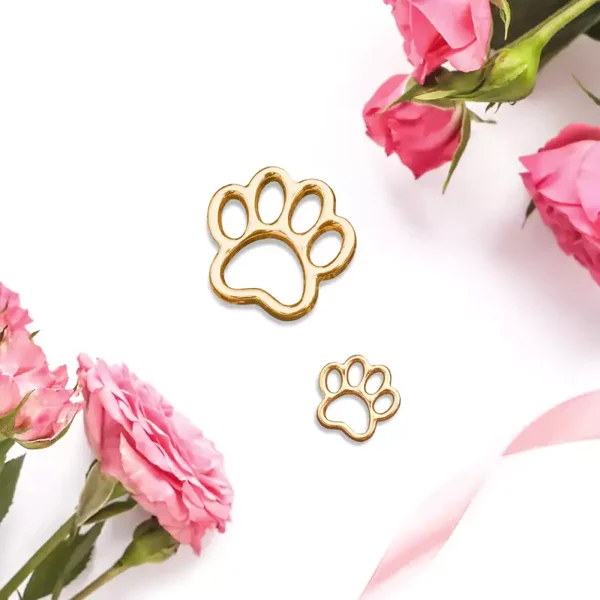 Paw Charm - Friendship Collar