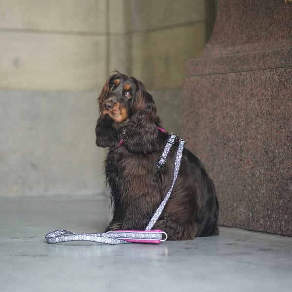 Finnero Sport City Leash 120 cm