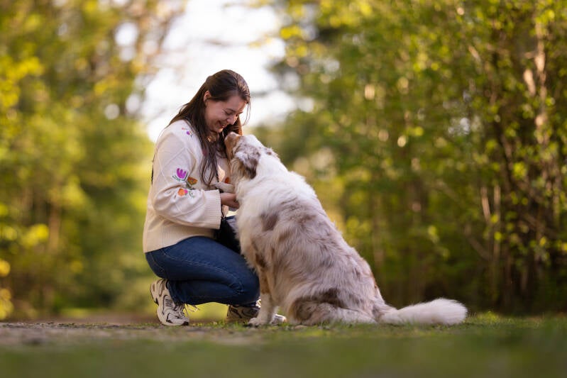 Hondenfotograaf Australian shepherd echten foto met baas