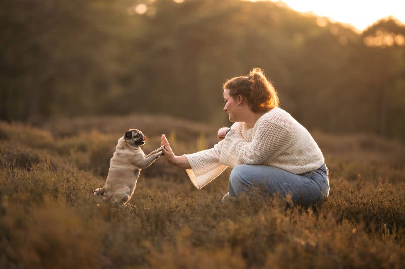 Sfeervolle hond en baas fotografie hondenfotograaf hondenfotoshoot Drenthe en Gelderland