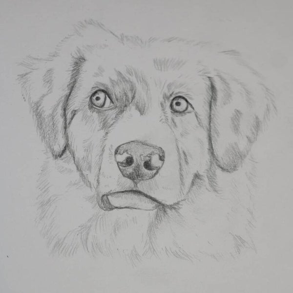 15 Minute Pencil Drawing