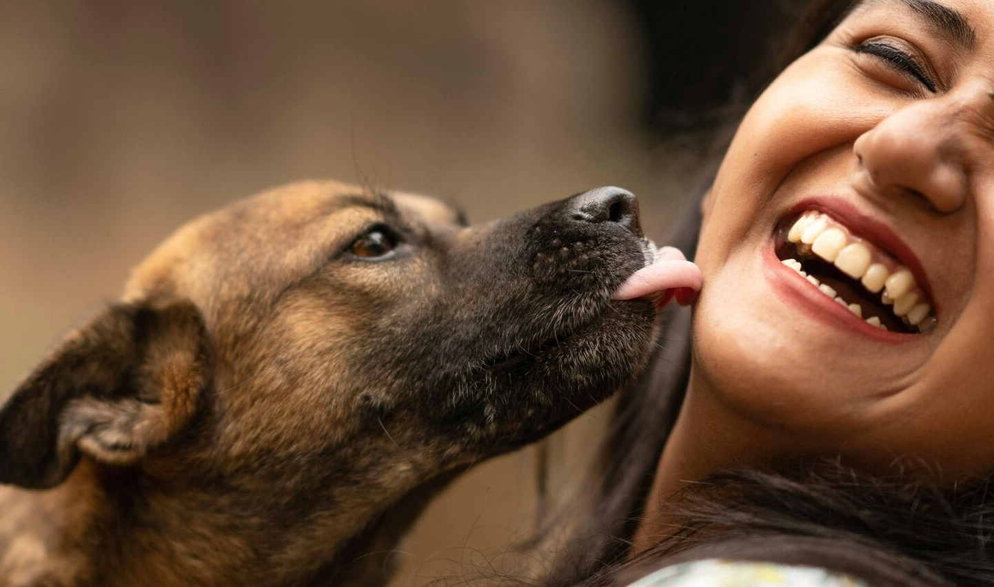 Hond likt baas voor contact