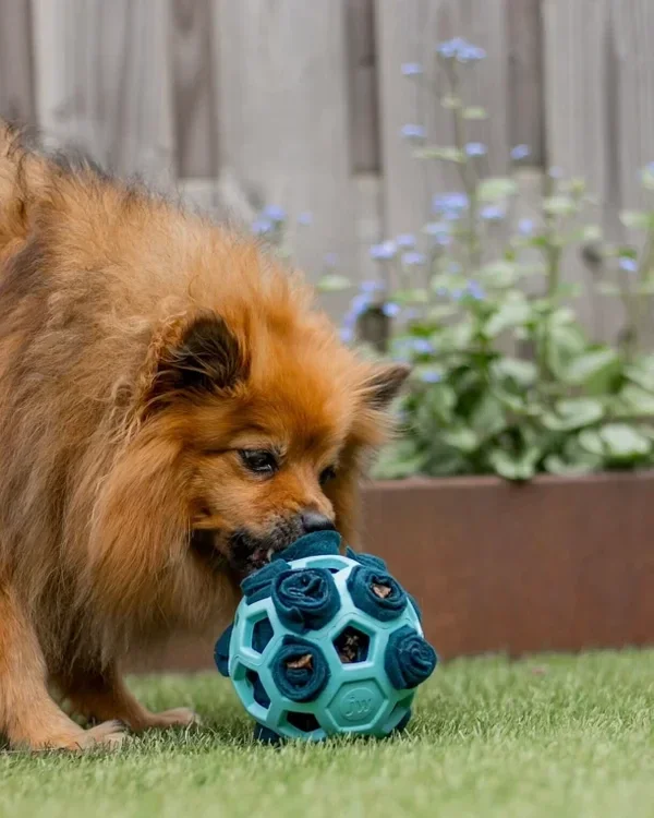 Hond met snuffel fleece verijkingsspeeltje