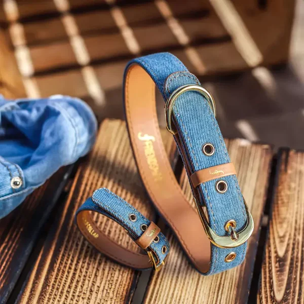 Great Genes: Light Denim - Friendship Collar