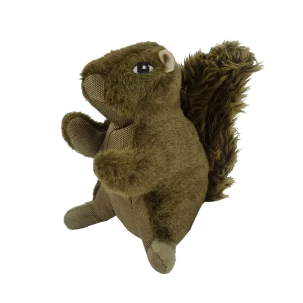 Eekhoorn Wild Life Dog