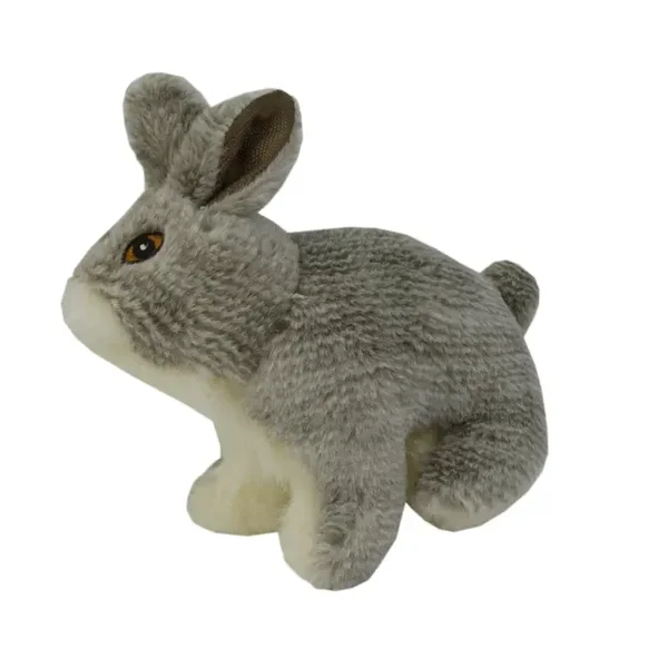 Konijn Wild Life Dog