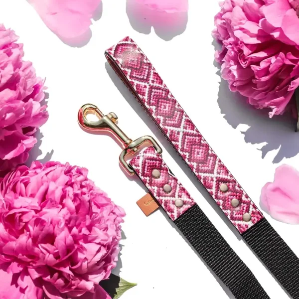 Leash The Pedigree Princess - Friendship Collar