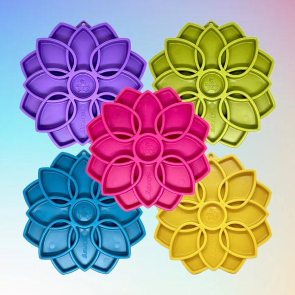 Mandala Etray Sodapup Slow Feeder