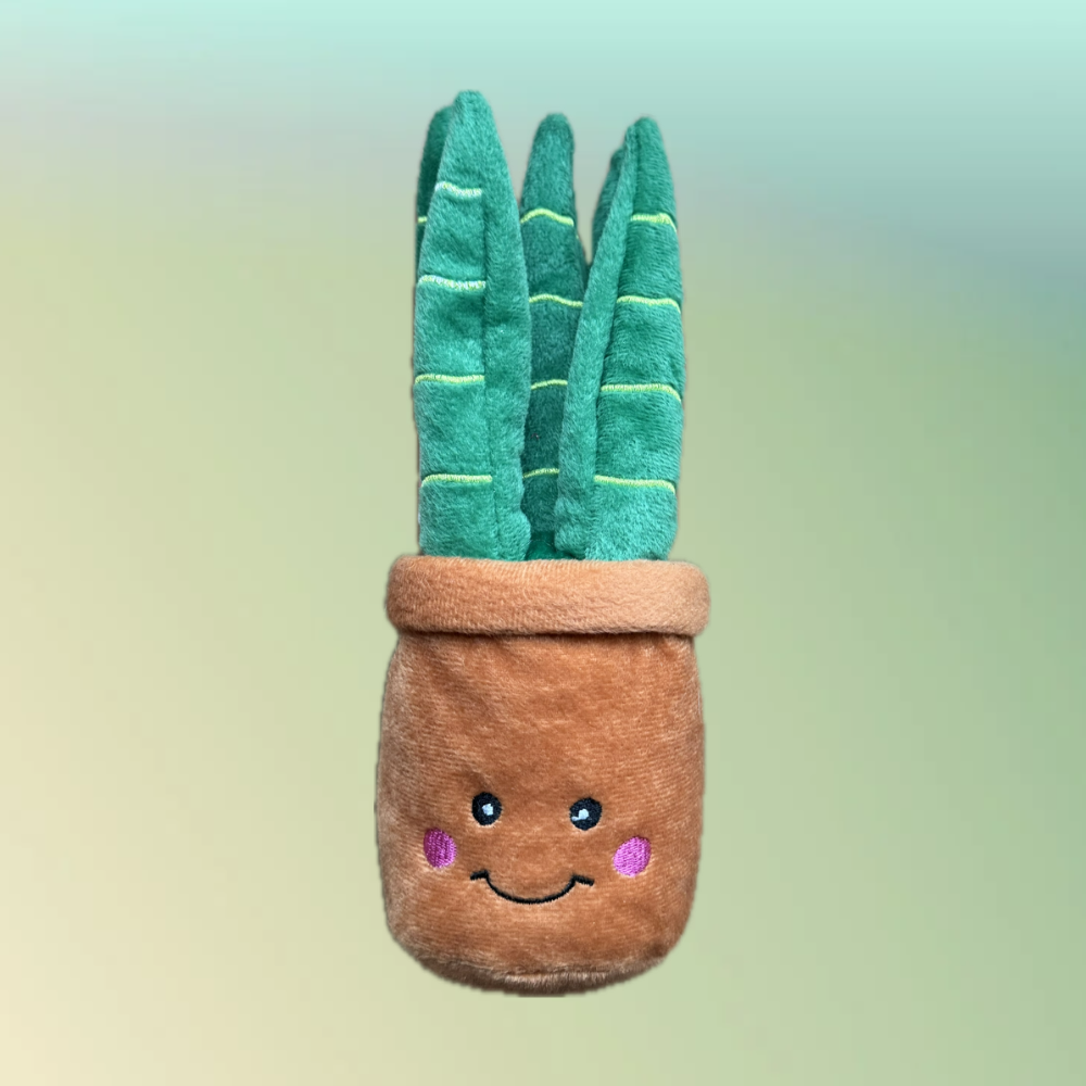 Snake Plant - ZippyPaws