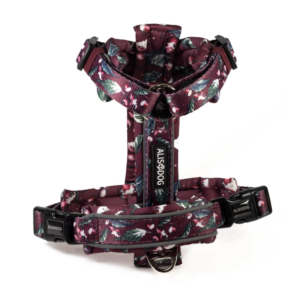 Comfy Harness - Frosted Bliss - ALISDOG