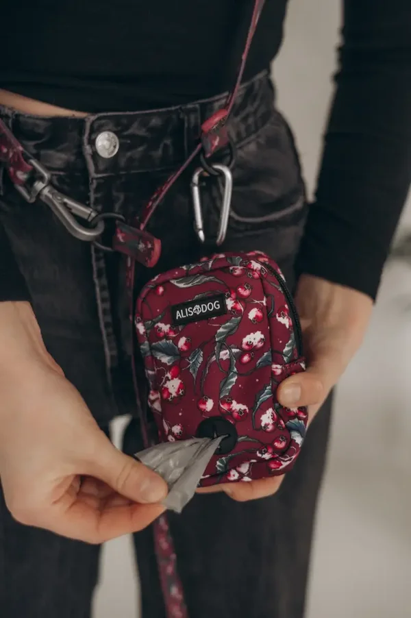 Dog Treat Bag - Frosted Bliss - ALISDOG