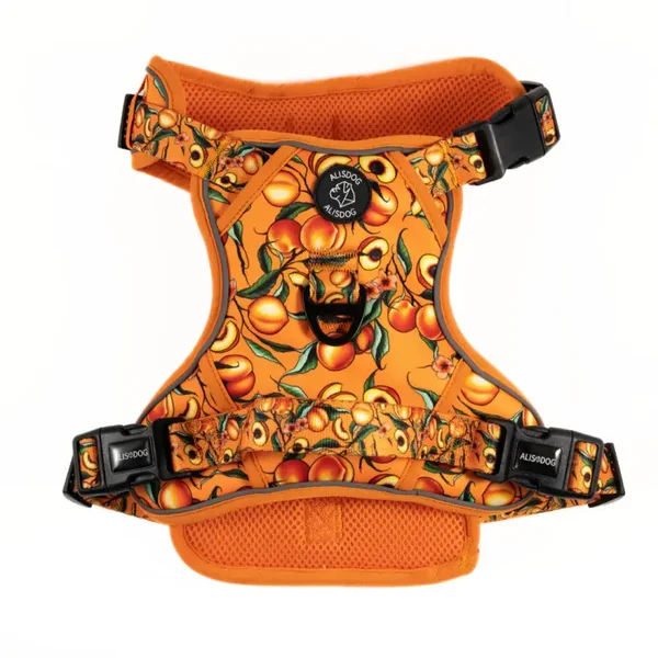 Expedition Harness - Peach Bliss - ALISDOG