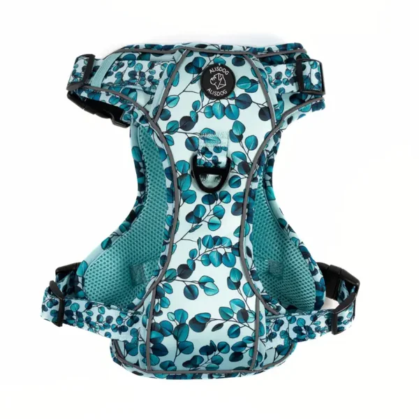 Expedition Harness - Eucalyptus - ALISDOG