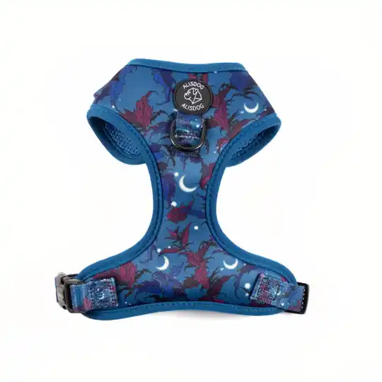 Harness - Midnight Frost - ALISDOG