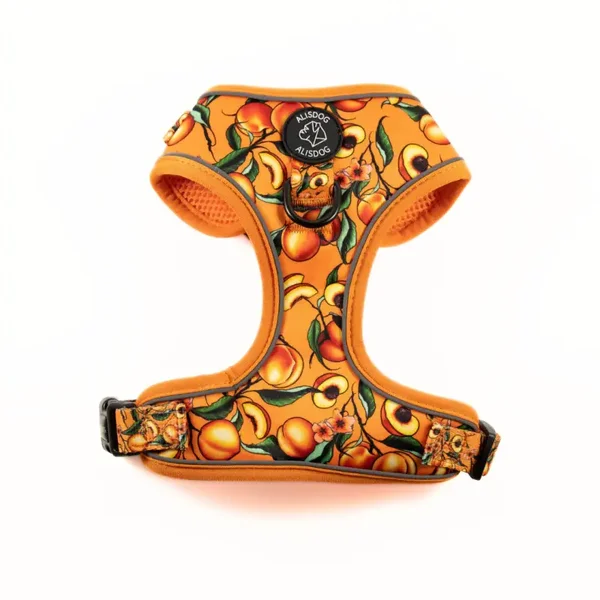 Harness - Peach Bliss - ALISDOG