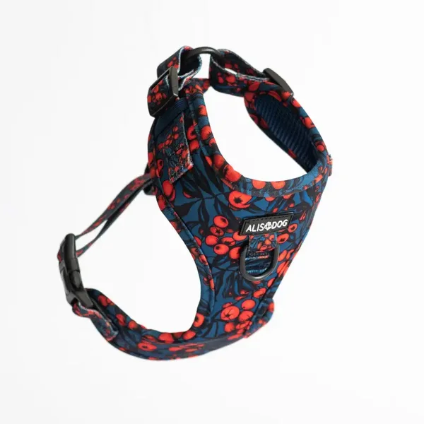 Harness - The Red Berry - ALISDOG