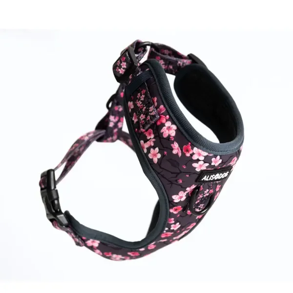 Harness - Sakura - ALISDOG