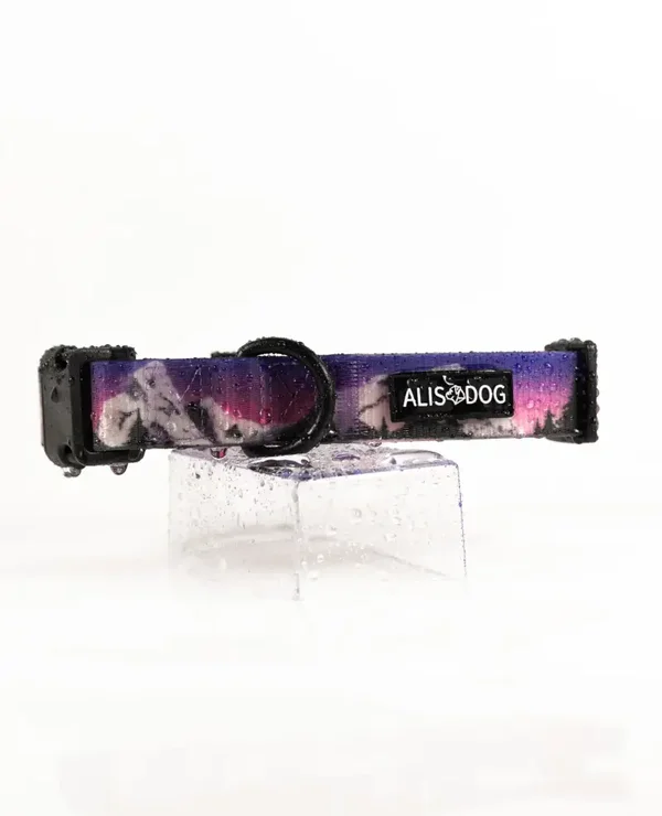 Waterproof Collar - Sunset Summit - ALISDOG
